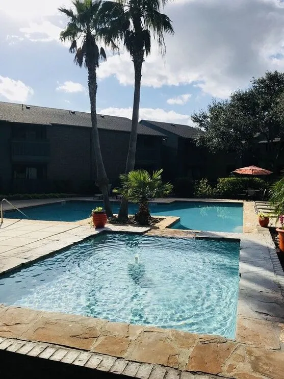 Inviting outdoor pool area with lush palm trees and sunny lounging spaces, perfect for relaxation.
