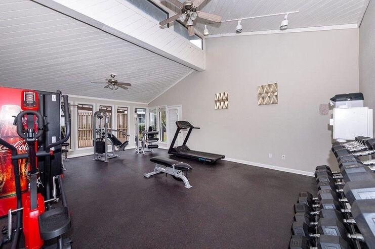 Bright and spacious apartment gym featuring modern exercise equipment, large windows, and high ceilings.