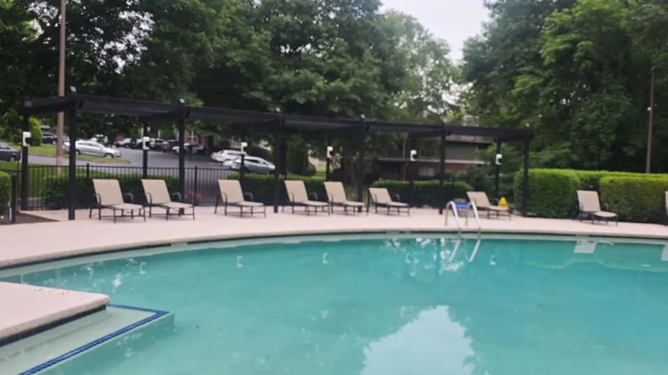 Inviting apartment pool area with comfortable lounge chairs and lush greenery, perfect for relaxation and enjoying the outdoors.