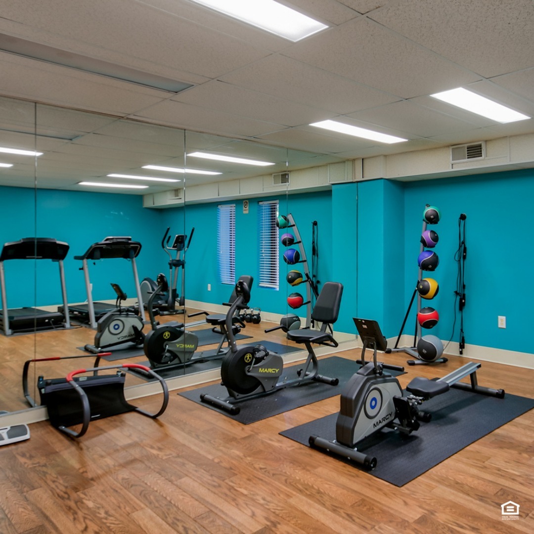 Modern fitness room with vibrant teal walls, featuring state-of-the-art gym equipment including treadmills, exercise bikes, and a set of colorful medicine balls.