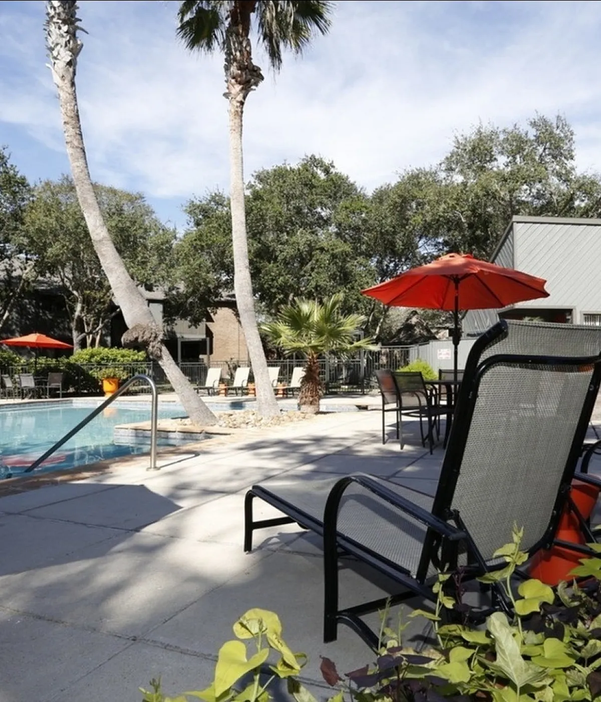 Tranquil apartment pool area with palm trees, sun loungers, and vibrant red umbrellas, perfect for relaxation.
