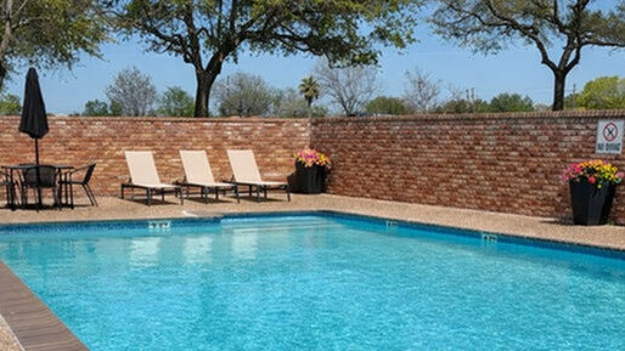 Inviting outdoor pool area with sun loungers, vibrant flowers, and lush trees, perfect for relaxation and enjoyment.