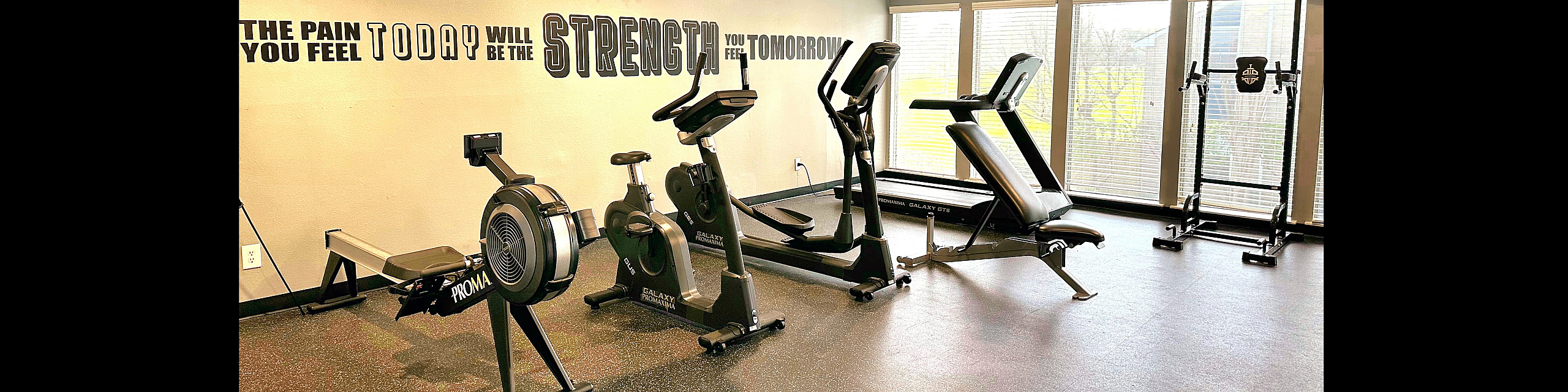 Inviting and modern gym with sleek exercise equipment, motivational wall art, and natural light streaming through large windows.