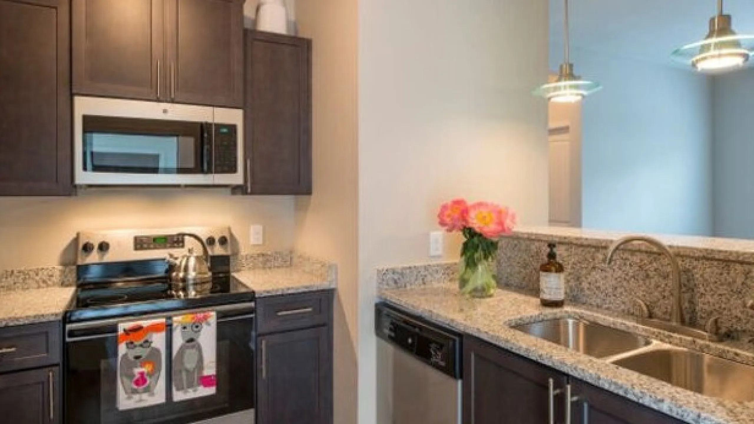 Modern kitchen with sleek cabinetry, stainless steel appliances, and elegant granite countertops.