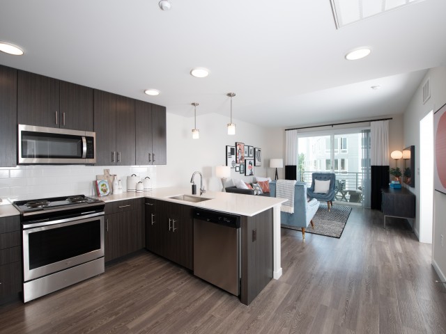 Image of 42 inch European Style Kitchen Cabinetry for Dwell 2nd Street