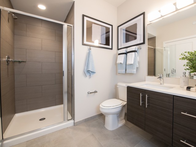 Image of Elegant 12x24 Ceramic Tile in Baths for Dwell 2nd Street