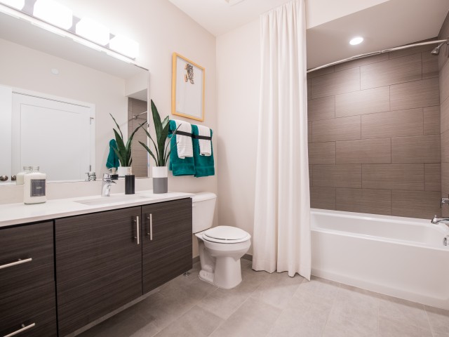 Image of Floating Vanities In Bathrooms for Dwell 2nd Street