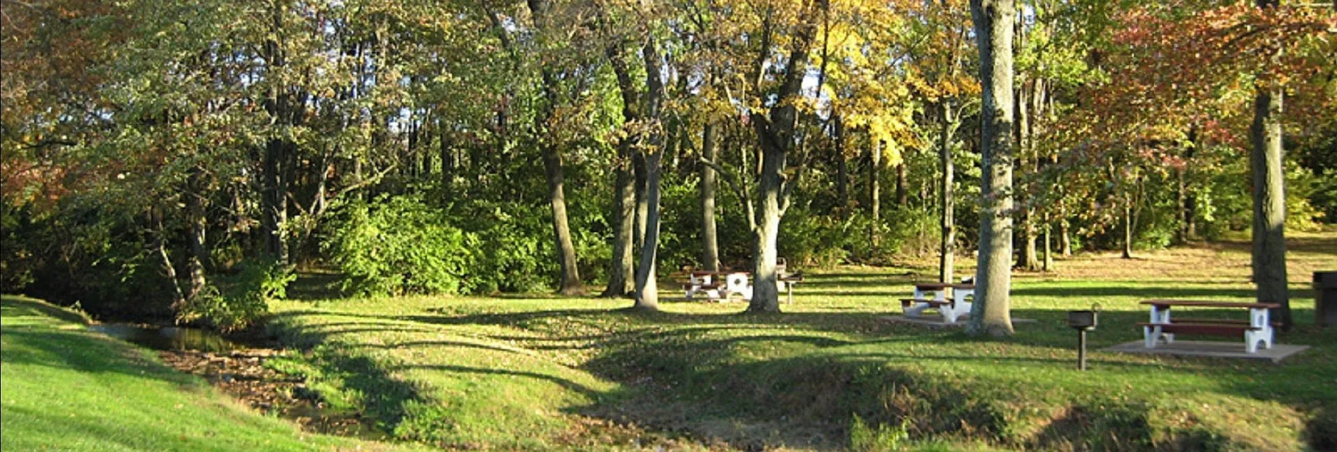 Tranquil park setting with lush greenery, picnic tables, and a serene stream flowing through vibrant trees.