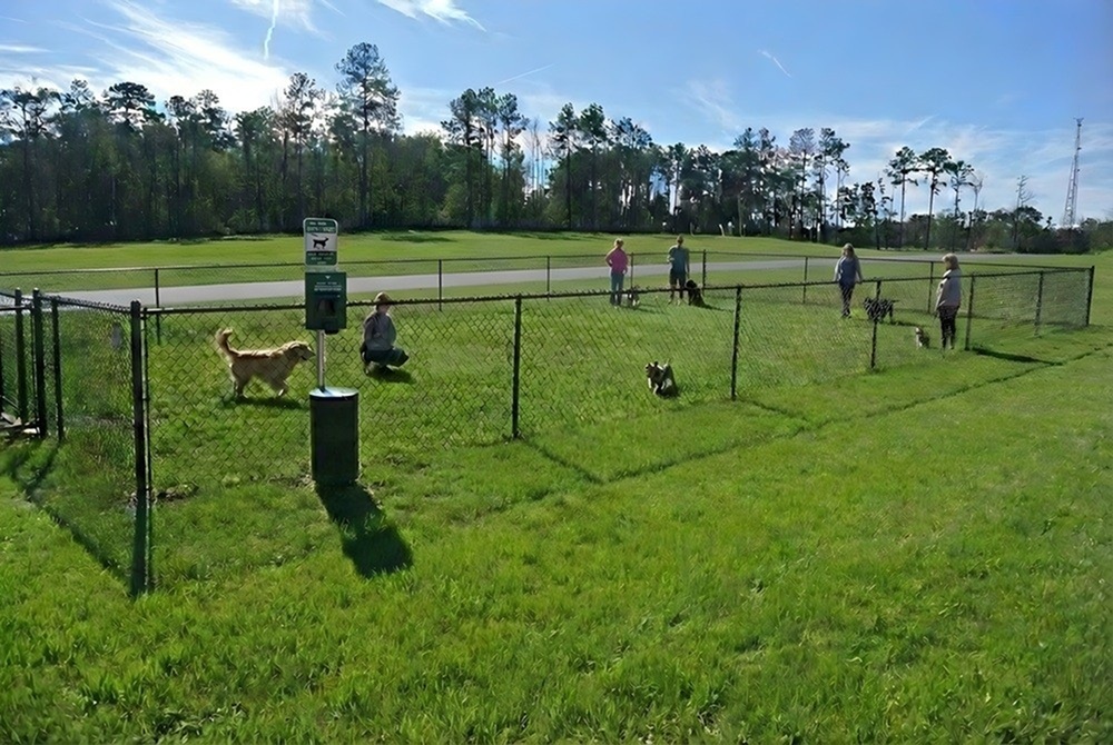 Vibrant community dog park with happy dogs playing and owners enjoying a sunny day surrounded by lush greenery.
