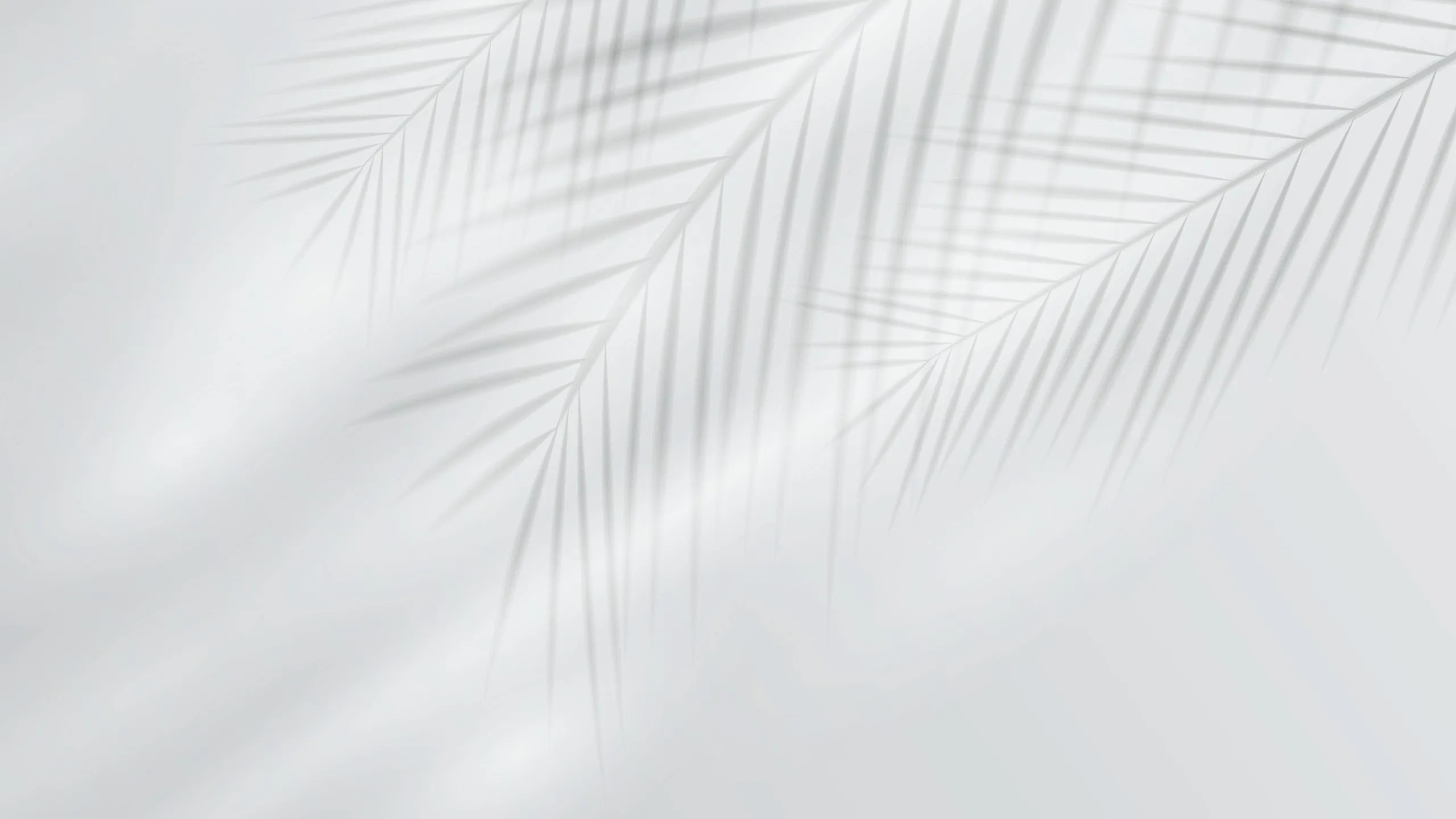 Elegant palm leaf shadows cast on a soft white textured background, creating a serene and tropical ambiance.