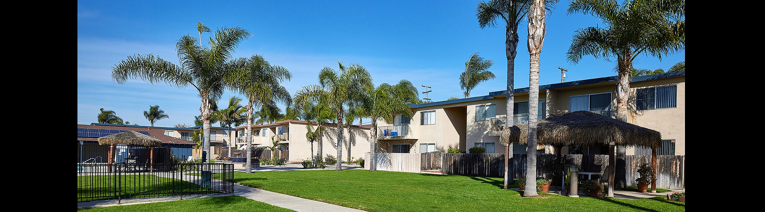 Charming apartment complex with lush green lawns, tall palm trees, and inviting pathways under a clear blue sky.