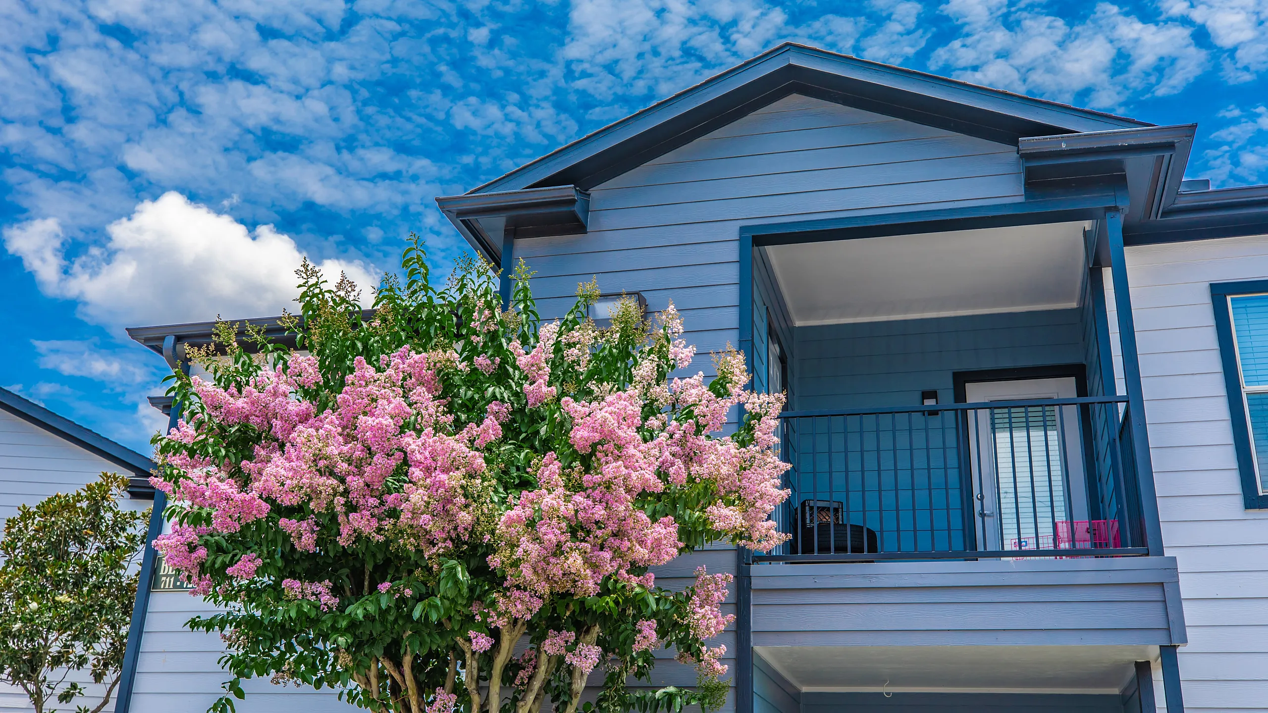 Bright and charming apartment exterior with vibrant pink flowering tree against a clear blue sky.