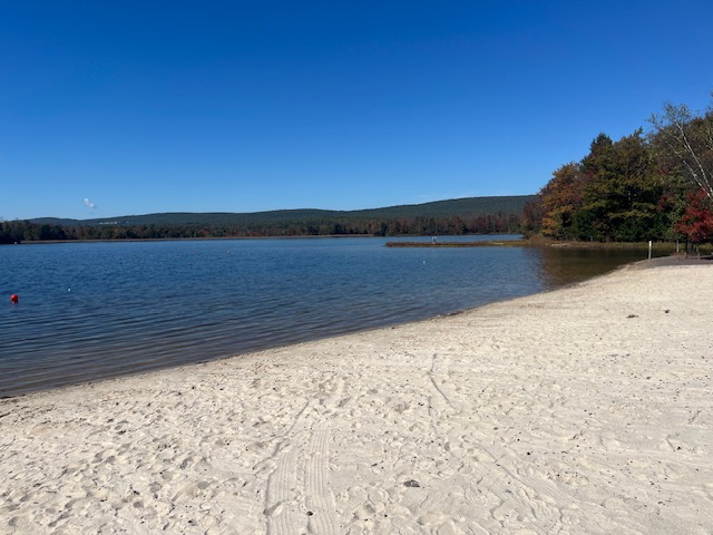Serene lakeside view with pristine sandy beach, crystal-clear water, and vibrant autumn foliage under a clear blue sky.