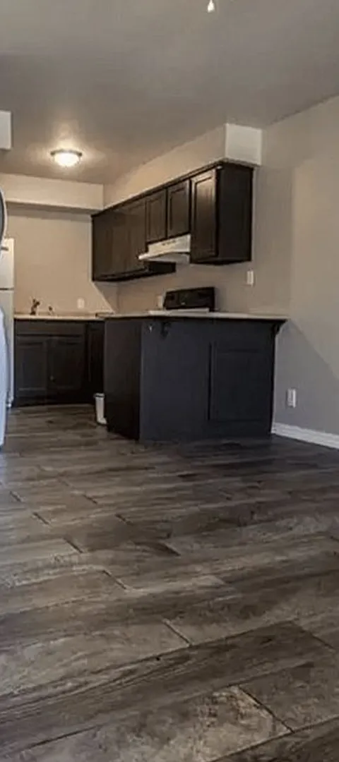 Modern kitchen with sleek dark cabinetry, stainless steel appliances, and elegant wood-style flooring creating a warm and inviting atmosphere.