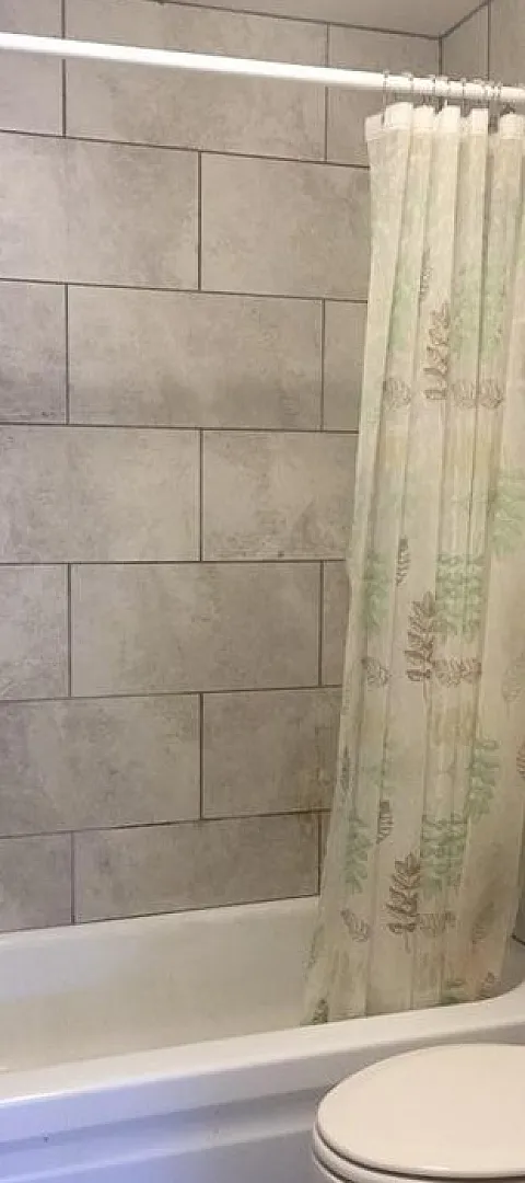 Elegant bathroom featuring a modern bathtub with a nature-themed shower curtain, surrounded by sleek stone tile walls.