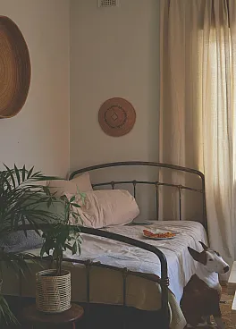 Cozy bedroom with vintage metal bed, natural woven decor, lush plants, and ample sunlight filtering through the curtains. A charming dog adds a welcoming touch.