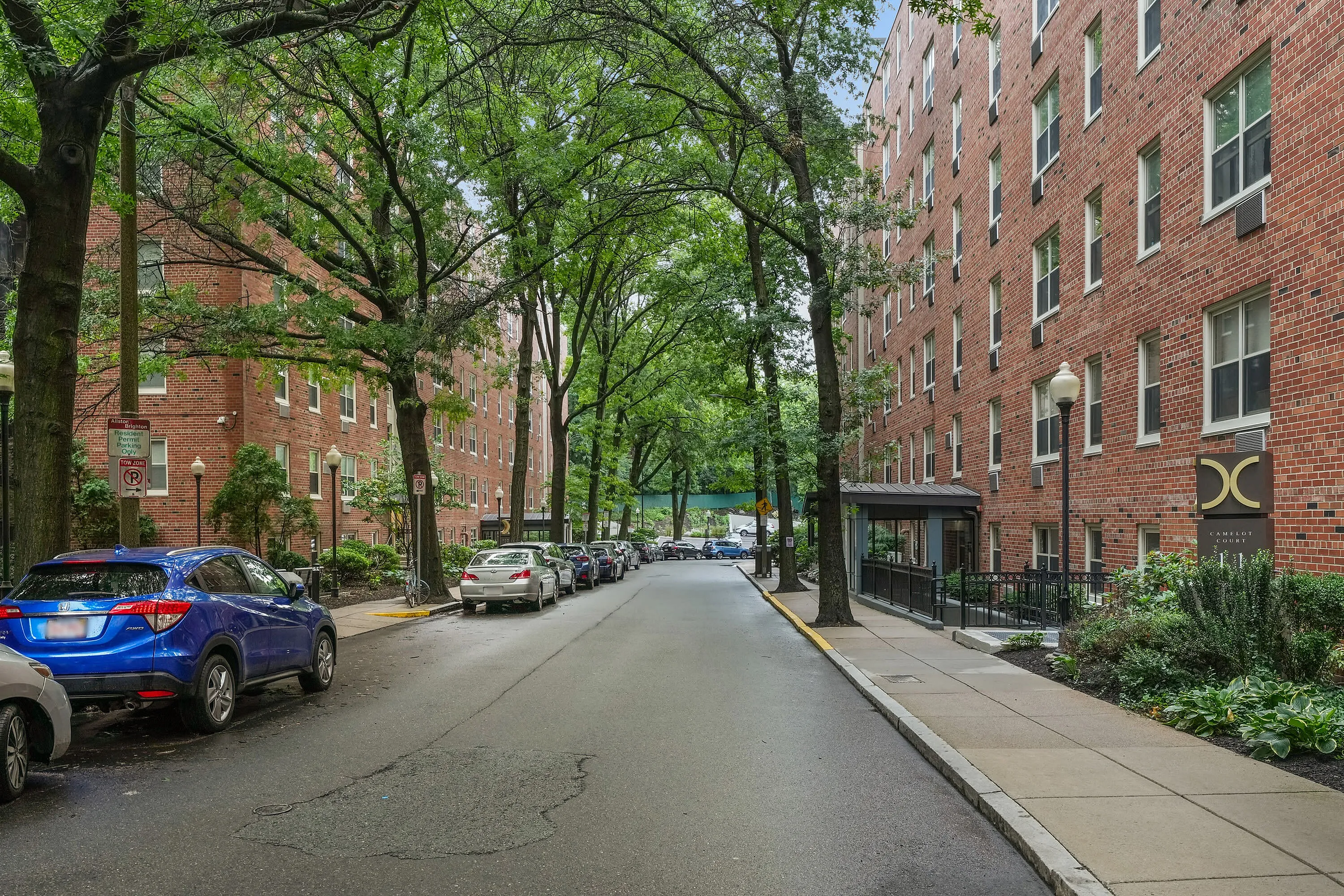 Charming urban street lined with vibrant green trees, adjacent to classic red brick apartment buildings, offering a serene and inviting residential atmosphere.