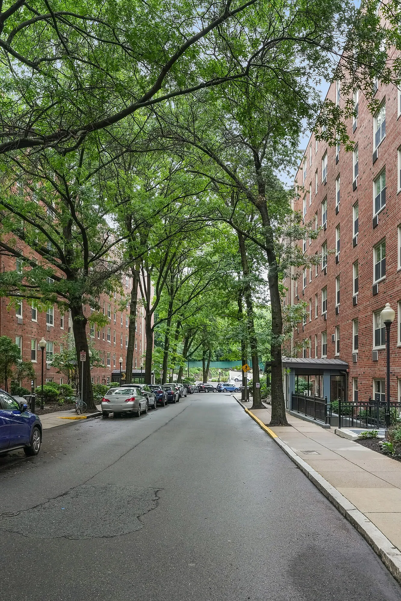 Charming city street lined with lush trees and classic brick apartment buildings, offering a serene urban living experience.