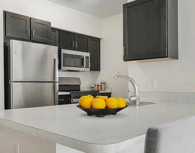 Sleek modern kitchen with stainless steel appliances, elegant dark cabinets, and a chic breakfast bar adorned with vibrant oranges.