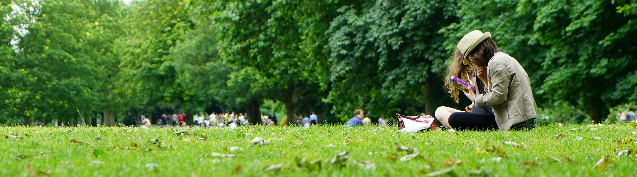Serene park scene with a woman reading on lush green grass surrounded by vibrant trees.