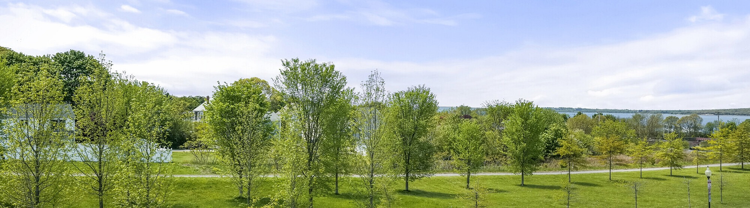 Serene view from apartment showcasing lush green landscape, clear skies, and a calm parking area with scenic surroundings.