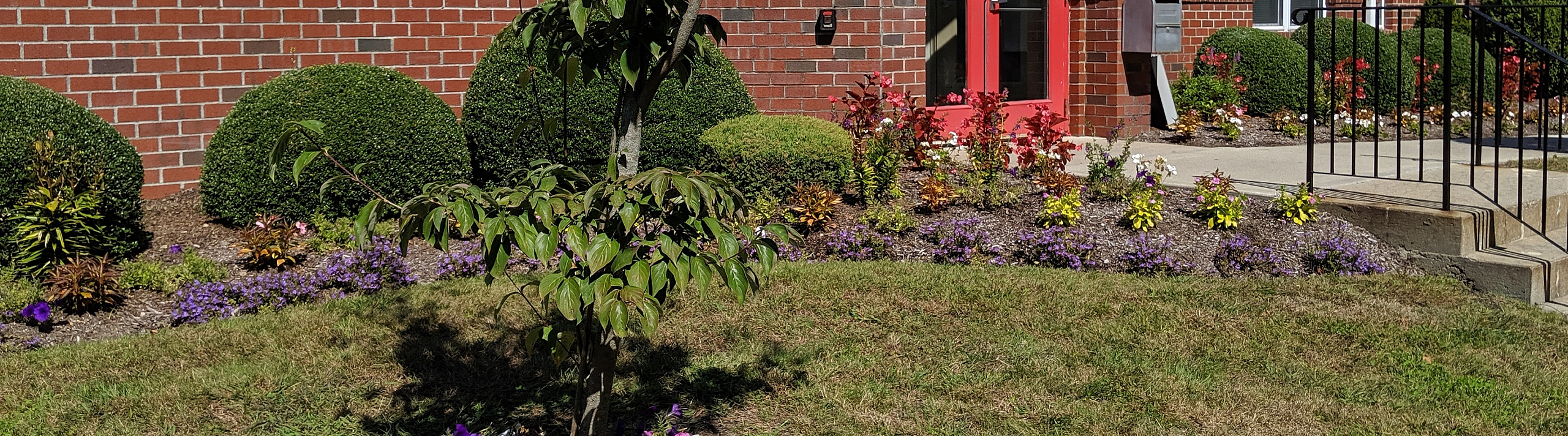 Charming apartment entrance with vibrant flower garden, elegant red door, and well-kept landscaping.