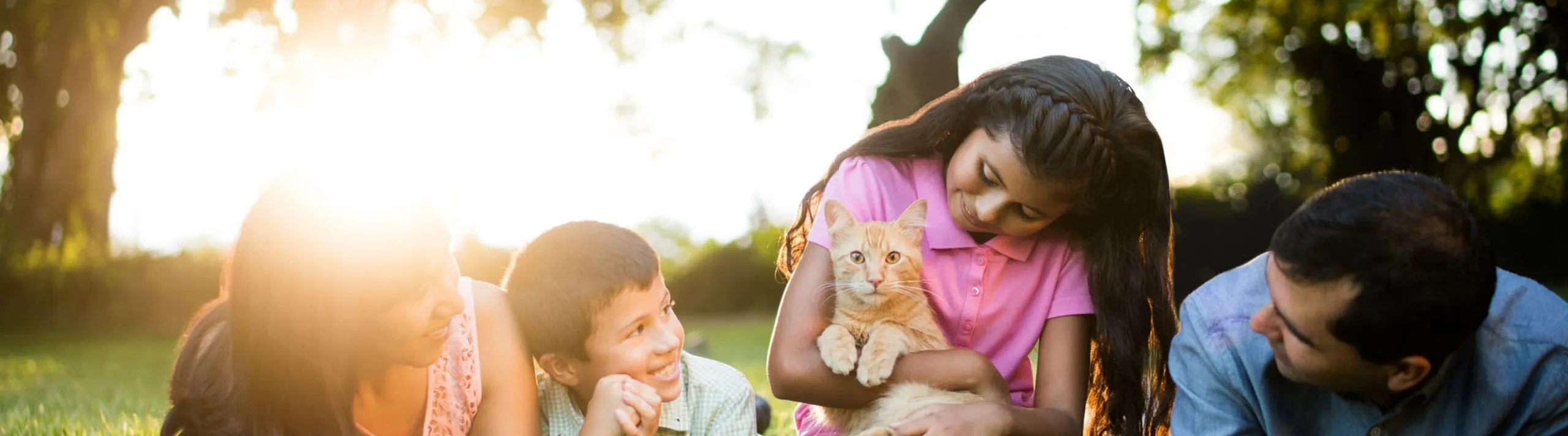 Joyful family enjoying a sunny day on the grass with their affectionate orange cat.