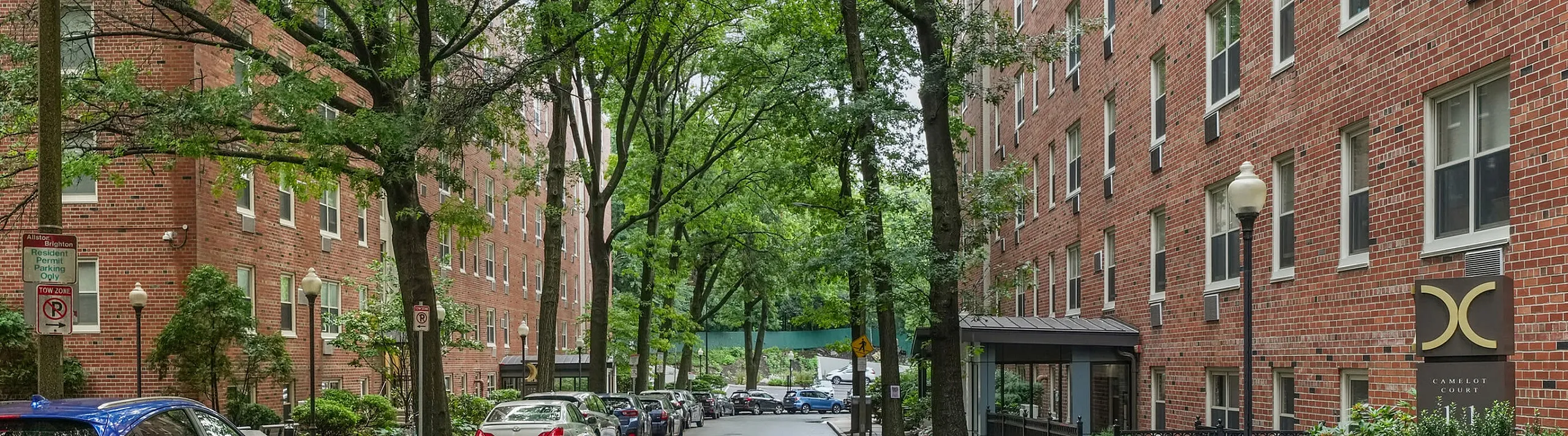 Tree-lined street