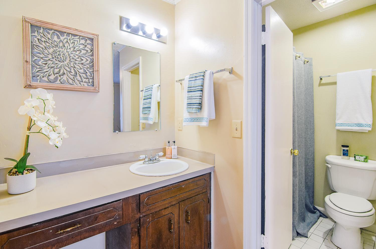 Bright and inviting bathroom with elegant vanity, luxurious mirror, potted orchid for a touch of nature, and modern decor.