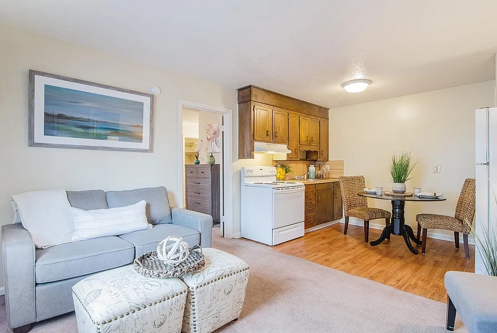 Charming open-concept living area with cozy gray sofa, elegant decor, and a quaint dining nook, accentuating a warm, inviting ambiance.