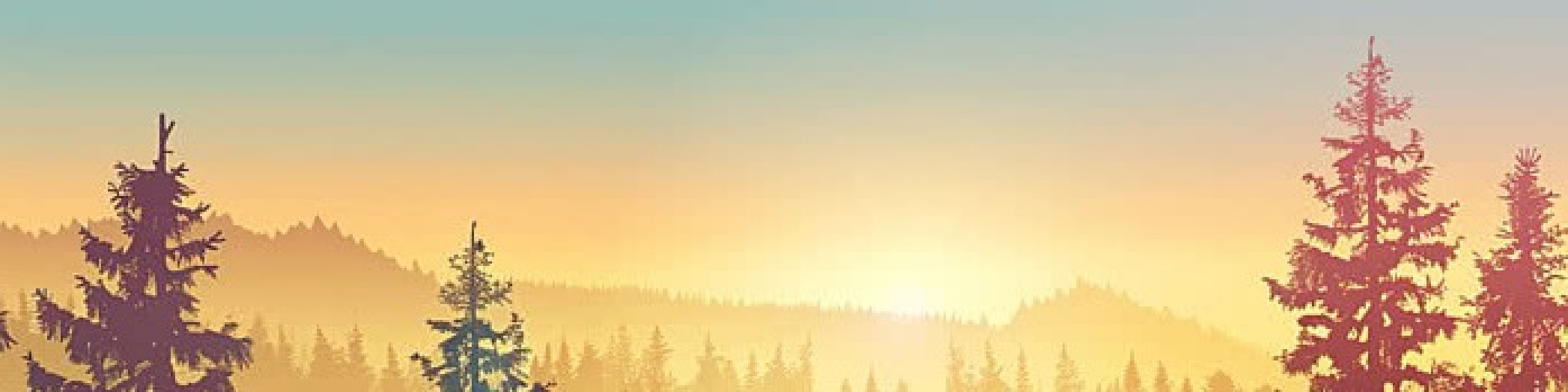 Serene landscape of sunlit forest with evergreen trees at sunset, creating a tranquil and picturesque atmosphere.