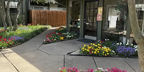 Charming garden entrance to a cozy building, beautifully adorned with vibrant flowers and lush greenery, offering a warm and inviting atmosphere.