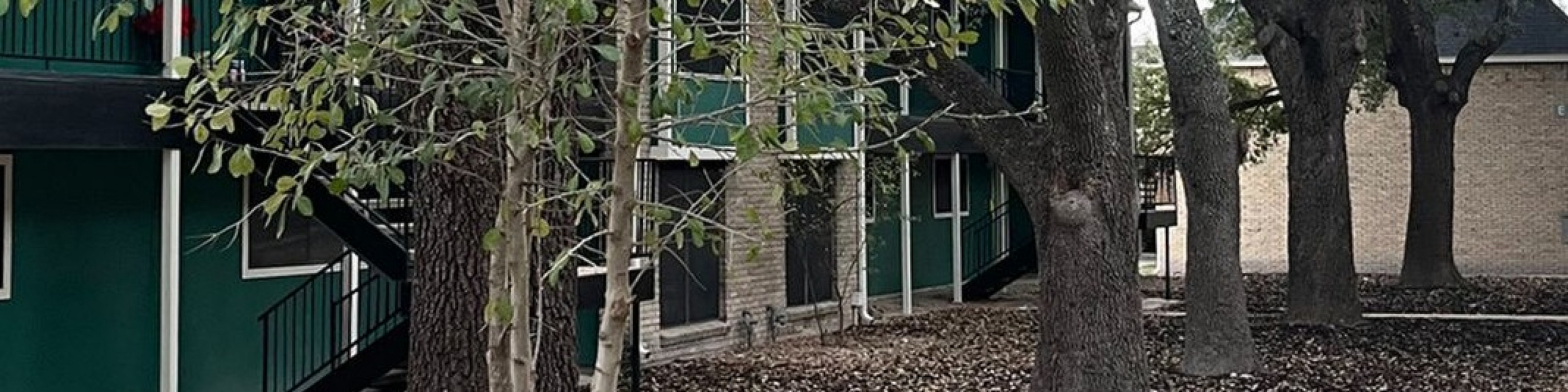 Charming apartment exterior nestled among mature trees, offering a tranquil and inviting atmosphere.