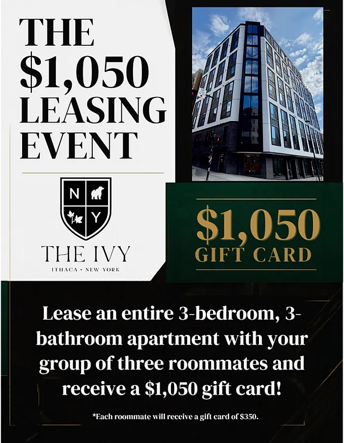 The Ivy