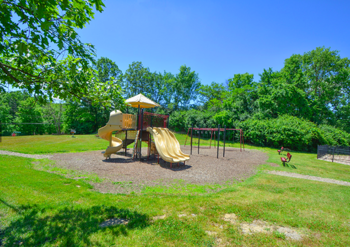 Inviting playground nestled in lush greenery, featuring slides and swings under a clear blue sky.