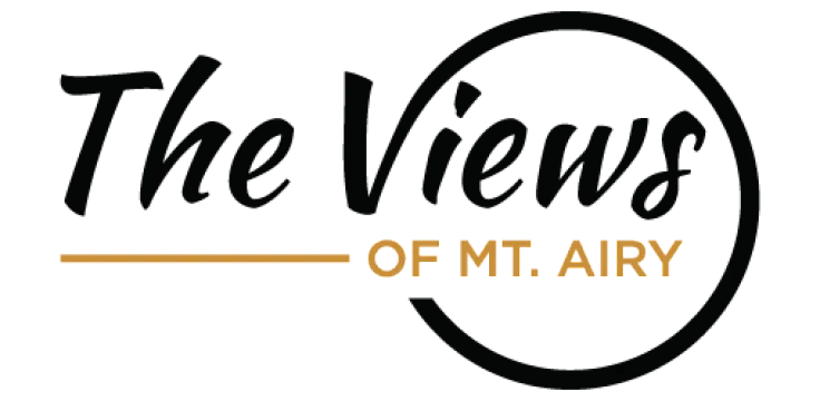Elegant logo featuring 'The Views of Mt. Airy' in a sophisticated font with a sleek circular design, exuding modernity and style.
