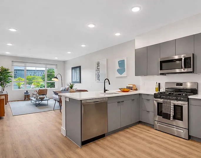 Kitchen/ Living Room