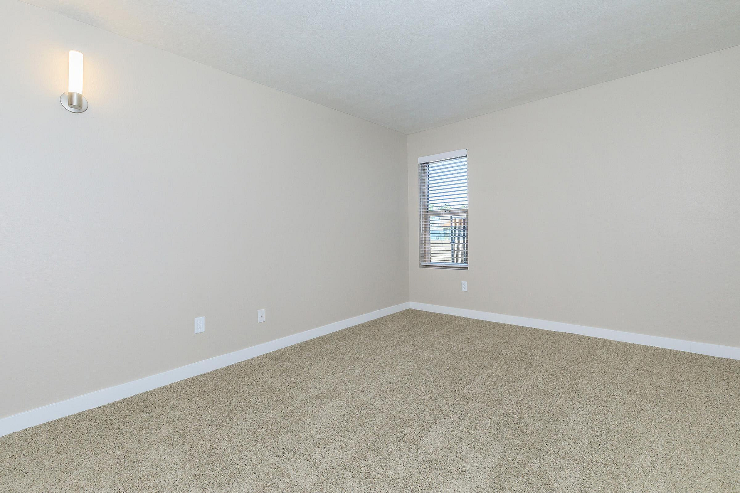 Bright and inviting empty bedroom with plush carpet, soft neutral walls, and a window providing natural light.