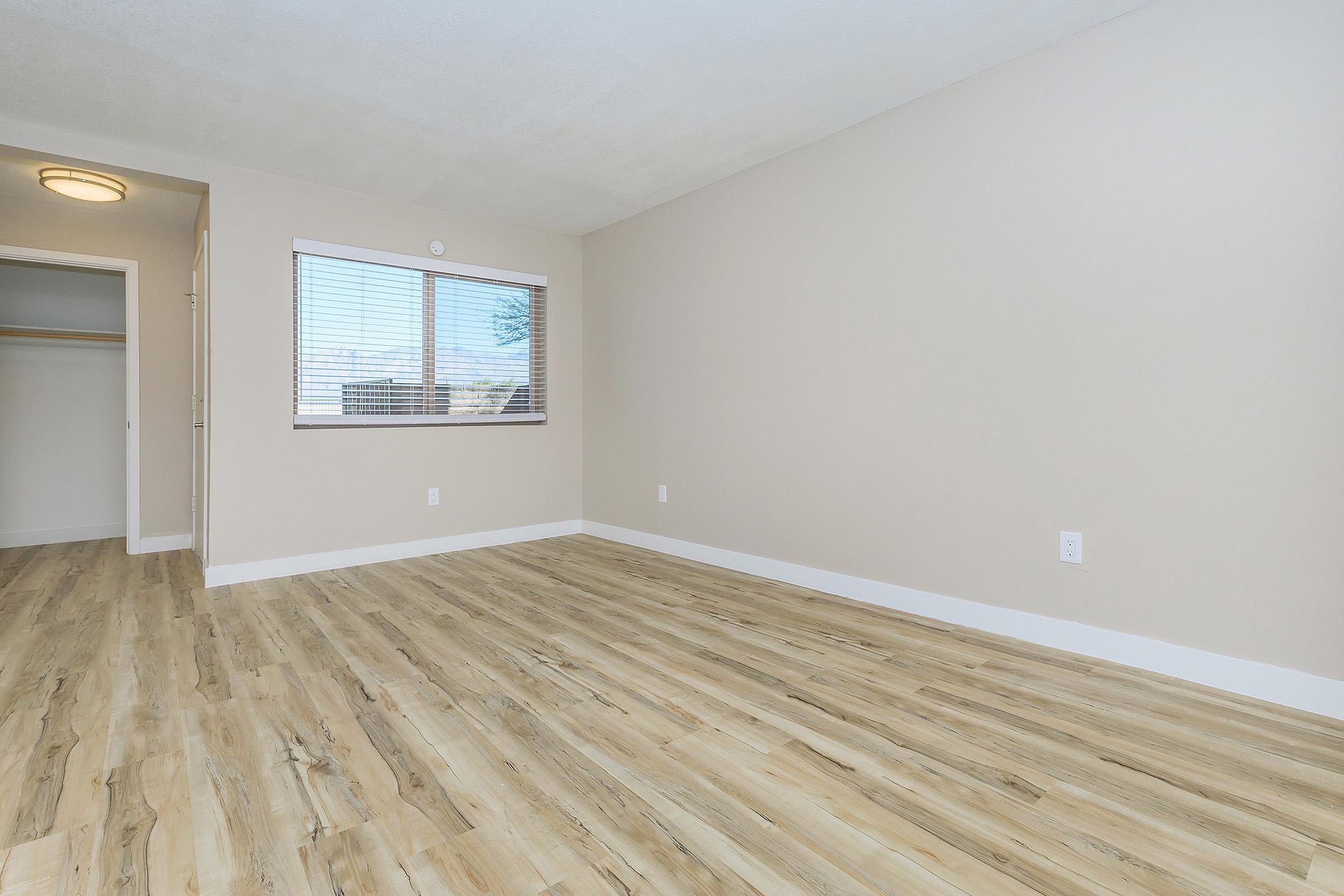 Bright and airy room with elegant wood flooring, large window, and spacious closet space, perfect for a tranquil living area.
