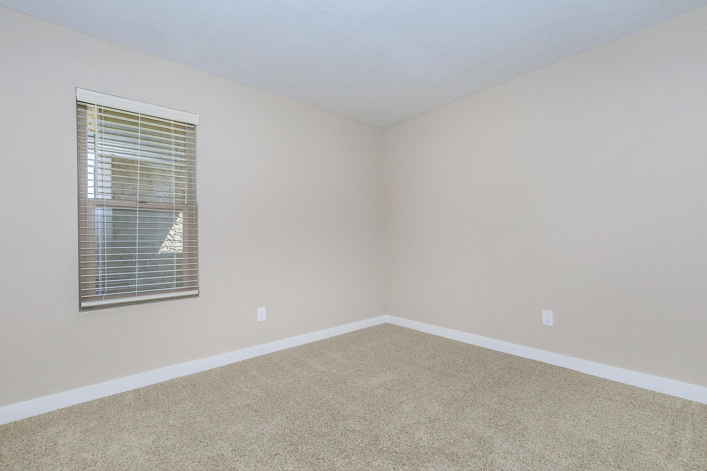 Bright and inviting empty room with soft beige carpet and natural light streaming through a window with blinds.