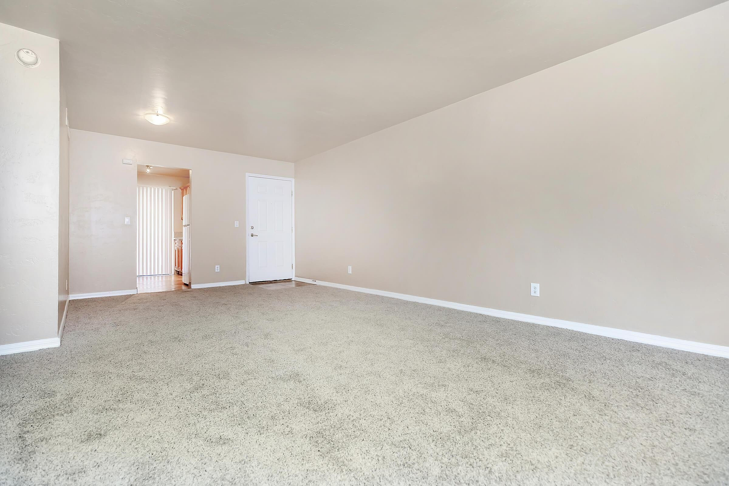 Spacious living room with plush carpeting, neutral walls, and ample natural light in a modern apartment.