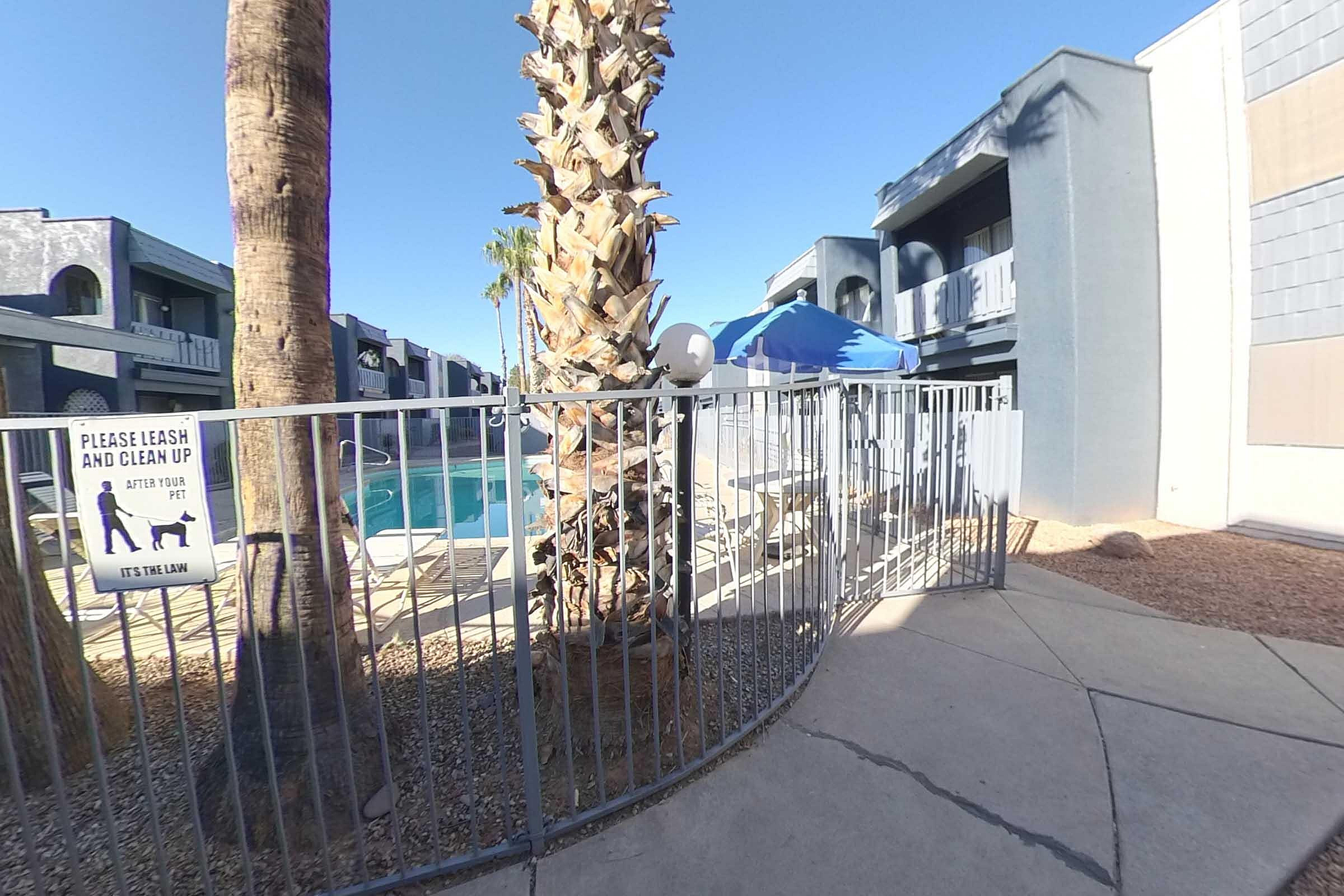 Inviting apartment complex featuring a serene poolside area with umbrella-shaded tables, surrounded by lush palm trees and modern buildings.