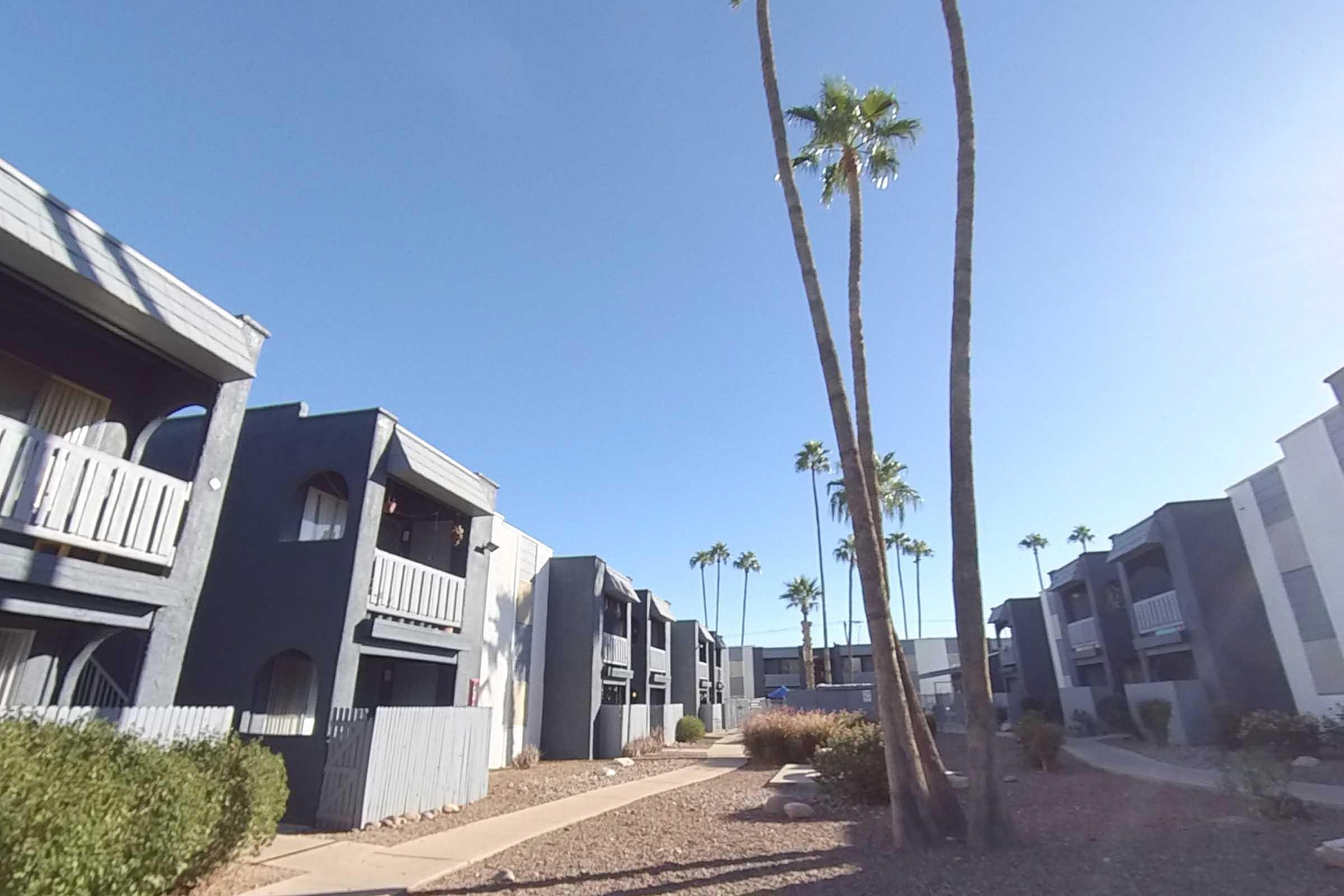 Charming apartment complex with modern exteriors, surrounded by lush palm trees under a clear blue sky.