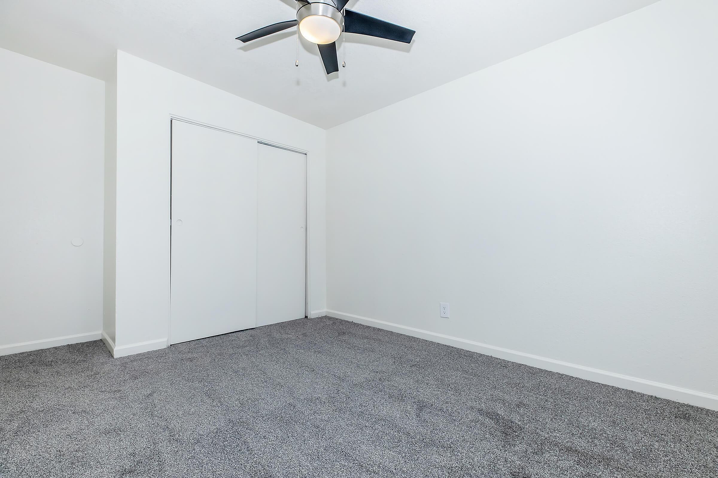 Bright bedroom featuring plush carpet, modern ceiling fan, and sleek sliding closet doors.
