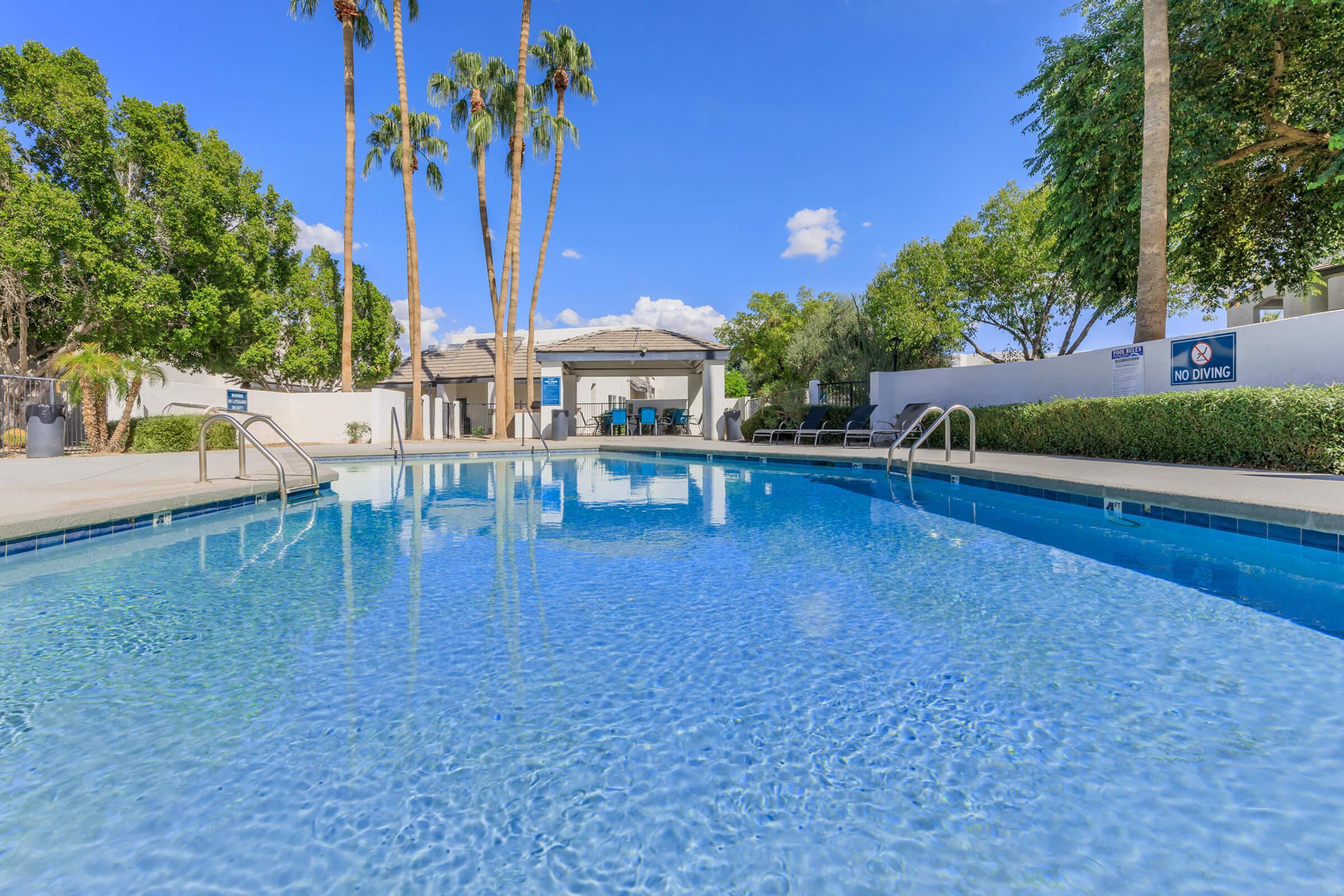 Inviting outdoor pool area with pristine water, surrounded by lounging chairs and lush palm trees under a vibrant blue sky.