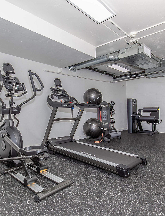 Modern gym facility with state-of-the-art equipment, including treadmill, elliptical, and strength training machines, perfect for a fitness enthusiast.