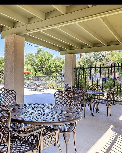 Charming outdoor patio overlooking a sparkling pool with elegant metal chairs, lush palm trees, and inviting poolside loungers.