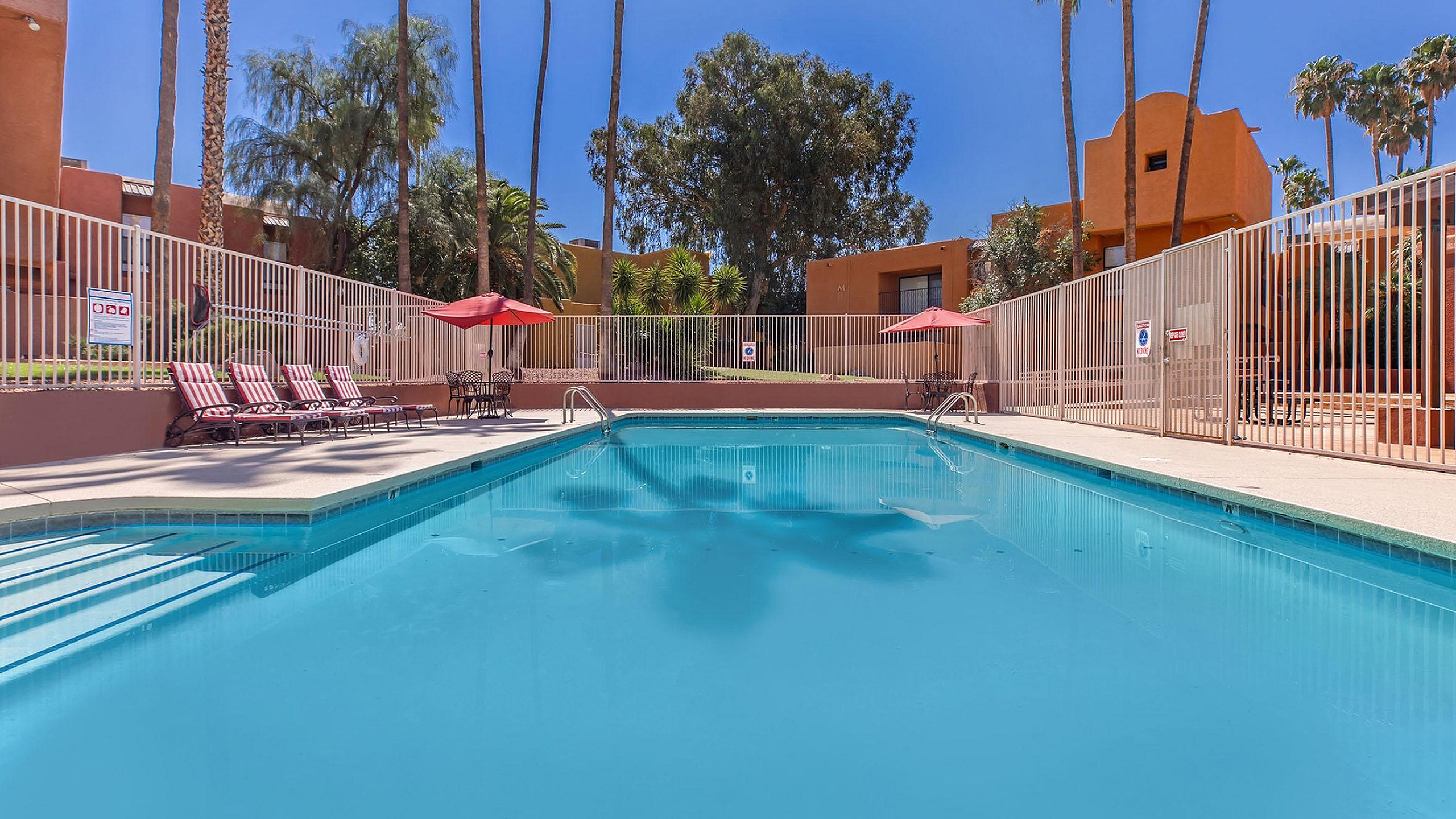 Vibrant apartment complex showcasing a sunlit pool surrounded by lush palm trees and cozy lounge chairs.