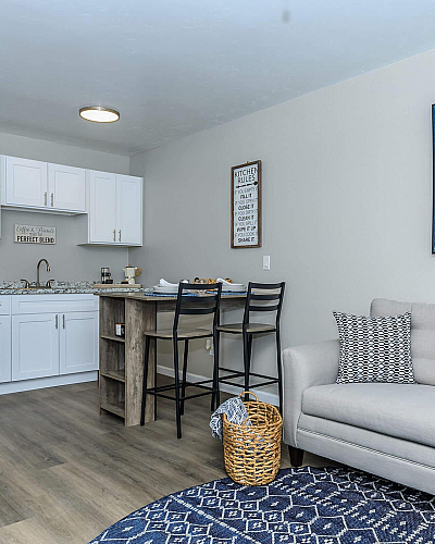 Inviting open-concept living area with a modern kitchen, cozy dining space, and stylish sofa in a chic apartment setting.