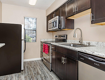 Contemporary kitchen with sleek dark cabinets, granite countertops, and modern stainless steel appliances.